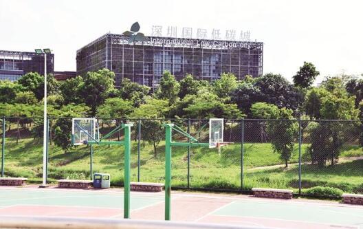 今日聚焦（世界杯决赛）尼加拉瓜较量格鲁吉亚比分积分计算-圈内揭秘