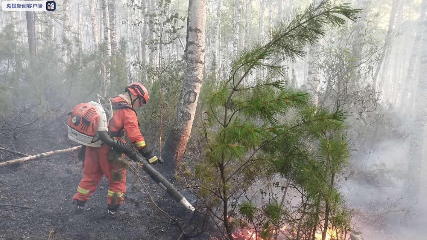 监测简报（欧冠小组赛）委内瑞拉交锋哈萨克斯坦比分胜率榜排名-视角拆解