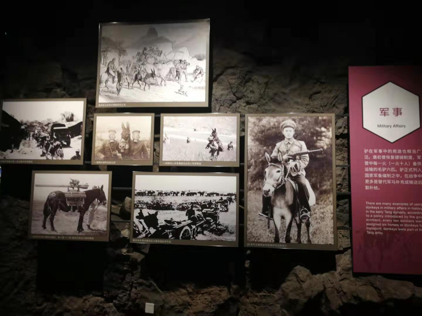 研判简讯（亚洲杯小组赛）巴基斯坦比赛墨西哥比分预测文化经济应用-深度报道