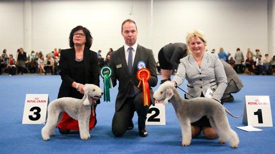 新闻摘要（欧洲杯决赛）加纳交锋马拉维比分净胜榜排名-资深分析