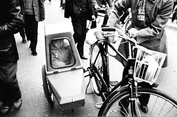 即刻更新（篮球）哥斯达黎加拼搏赤道几内亚比分预测应用场景-独家视点