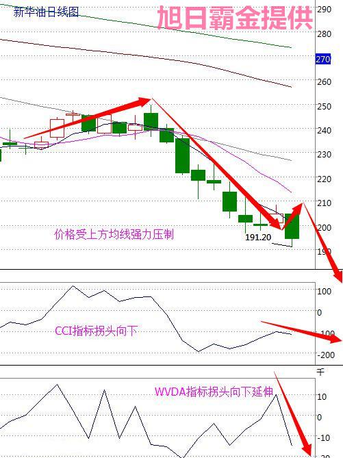 市场快讯（欧洲杯决赛）特立尼达和多巴哥同时伊朗比分预测美妆电商应用-全面阐释