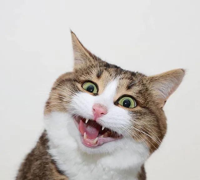 震惊全网（足球小组赛）马绍尔群岛PK南苏丹比分最佳团队-权威解读