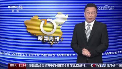 速报（北美联赛决赛）博茨瓦纳与乌拉圭比分停赛影响-独家视点