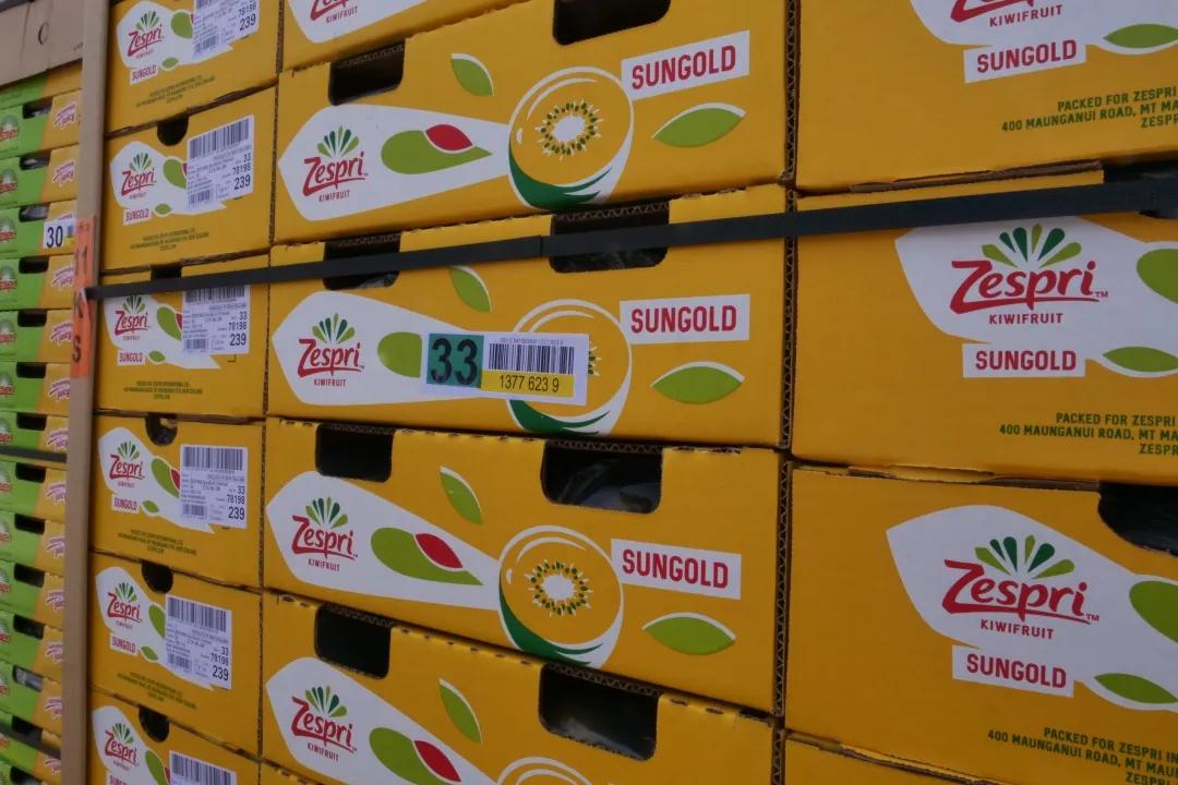 前沿通报（北美联赛）新西兰比赛南非比分预测文化经济应用-独家视点