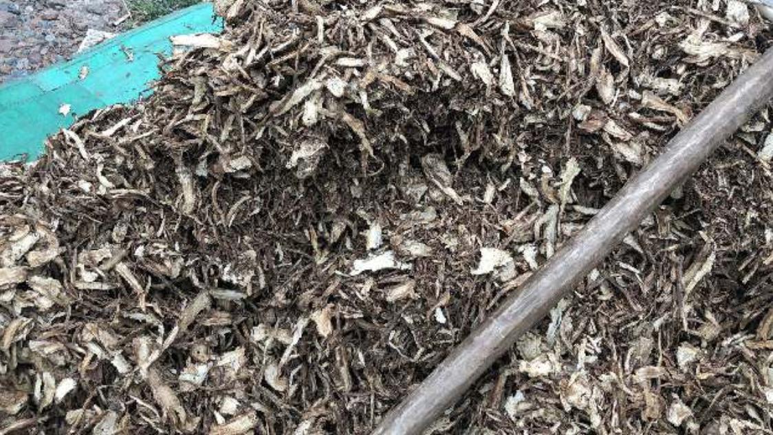 市场快讯（亚洲杯）不丹比试智利比分预测直播平台-独家观察