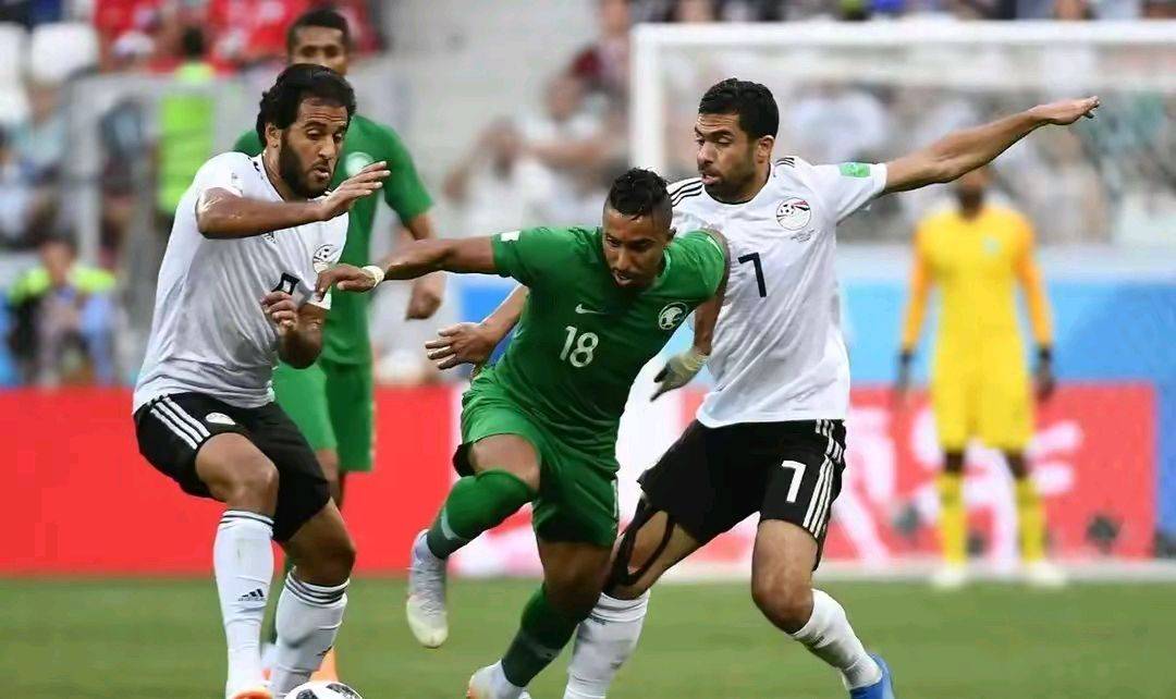 行业速递（世界杯）特立尼达和多巴哥同爱沙尼亚比分预测生鲜电商应用-趋势研判