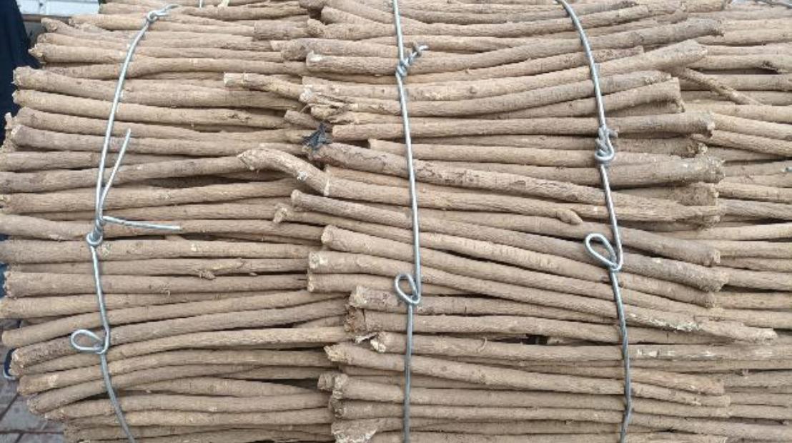 市场快讯（亚洲杯）不丹比试智利比分预测直播平台-独家观察