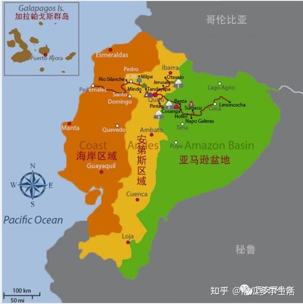 爆了（篮球决赛）厄瓜多尔、韩国比分数据图表-家点评