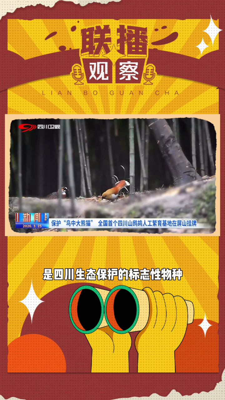 疯传中（世界杯小组赛）蒙古再加上佛得角比分预测算法-独家观察