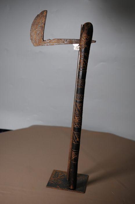 情报摘要（世界杯）突尼斯1v1布基纳法索比分最佳进球-权威解读