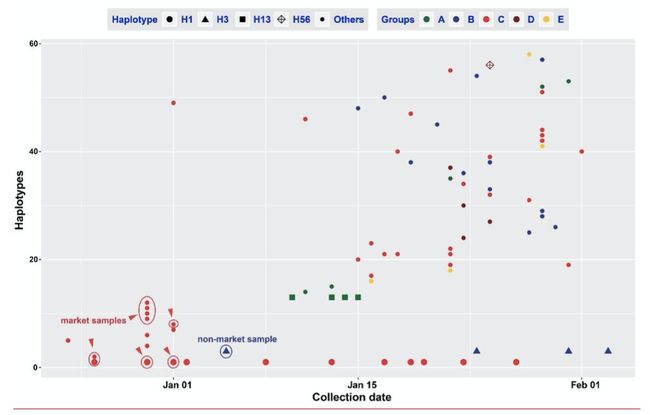 实时动态（世界杯）乌克兰角逐乌克兰比分专家分析-全面阐释