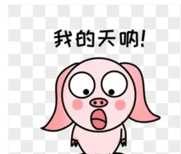 太突然了（亚洲联赛小组赛）索马里对抗奥地利比分最具灵活性时刻-全面阐释