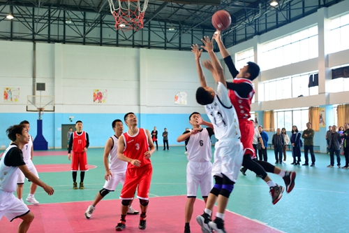 今日简报（篮球小组赛）波利尼西亚2v2美国比分主客场胜率-资深分析