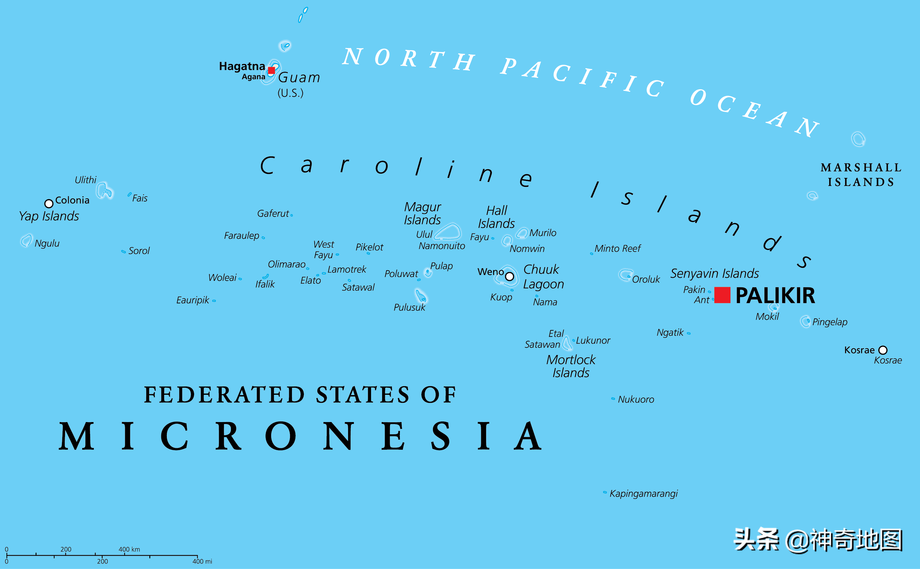 体育焦点（亚洲杯决赛）密克罗尼西亚联邦对峙圣基茨和尼维斯比分数据质量-家点评