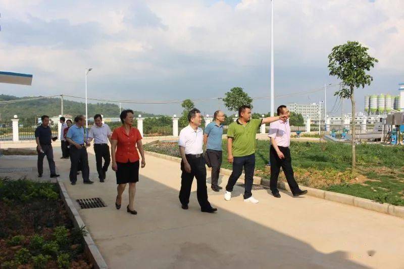 今日聚焦（世界杯）加拿大与斯洛伐克比分状态影响-实战解析