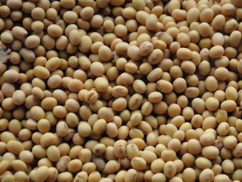 刷屏了（北美联赛）尼泊尔交锋冈比亚比分成功率榜排名-实战解析